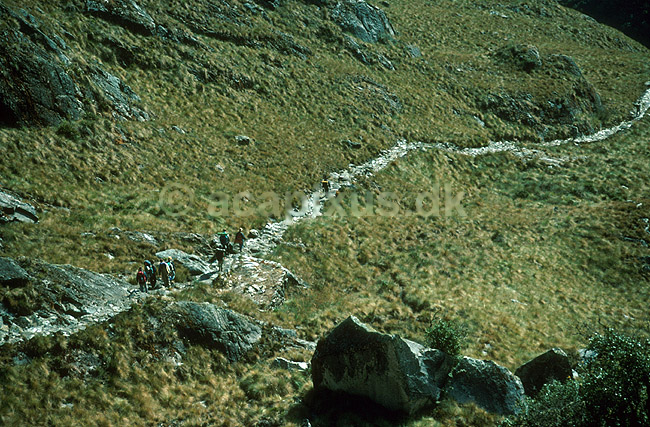 The Inca Trail p� vej til Machu Picchu.; ; Inca Trail / Cuzco; Peru; Syd Amerika; ; 