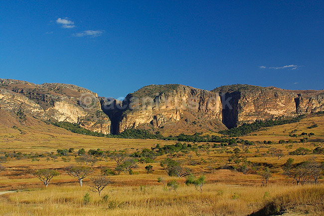 Gr�sslette foran klipperformationer i Isalo National Park; ; Isalo National Park; Madagaskar; Afrika; ; 