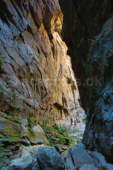 Canon des Singes i Isalo National Park; ; Isalo National Park; Madagaskar; Afrika; ; 