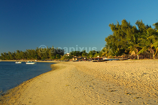 Strandliv p� stranden ved Ifaty; ; Ifaty; Madagaskar; Afrika; ; 