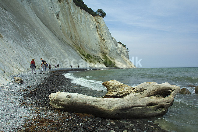M�ns Klint; ; M�ns Klint / M�n; Danmark; Europa; ; klinter kridt kyster landskaber