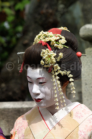 Maiko. Japansk danseinde p� gaden i Gion distriktet i Kyoto; ; Gion / Kyoto; Japan; Asien; ; japansk japanere kvinder makeup make-up kimono k�nsroller
