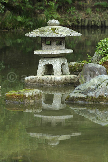 Japansk have. Japansk have i Chion-in templet i Kyoto; ; Chion-in / Kyoto; Japan; Asien; ; haver