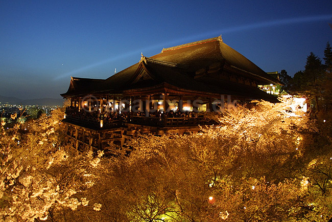 Kiyomizu-dera Temple. Kiyomizu-dera Templet i Kyoto oplyst ved aftentide under kirseb�rblomstringen; ; Kiyomizu-dera Temple / Kyoto; Japan; Asien; ; templer buddisme buddhism buddistisk