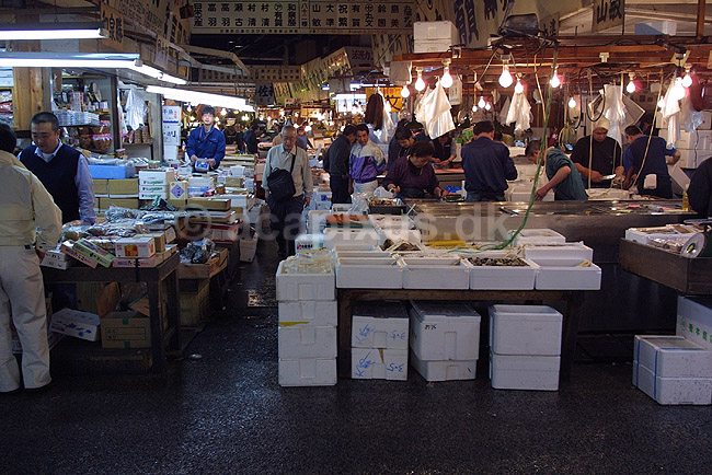 Tsukiji Fish Market. Handlende tidligt om morgenen p� Tsukiji Fish Market; ; Tsukiji Fish Market / Tokyo; Japan; Asien; ; markeder frisk fisk sushi