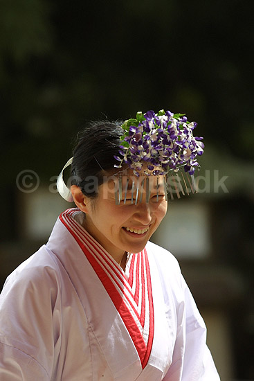 Kasuga-Taisha Shrine. Tempel-arbejder i Kasuga-Taisha Shrine templet i Nara ; ; Kasuga-Taisha Shrine / Nara; Japan; Asien; ; templer