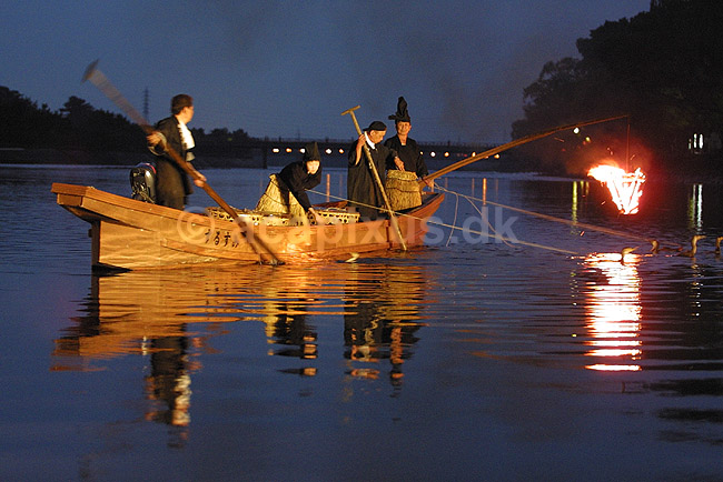 Skarvfiskeri. Skarvfiskere med skarver i vandet i Uji syd for Kyoto; ; Uji; Japan; Asien; ; fiskeri fangstmetoder