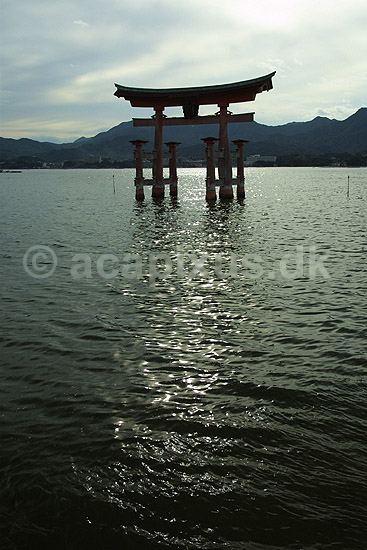 Itsukushima-jinja shrine. The Floating Torii ved Itsukuskima-jinja shrine templet p� Miya-jima; ; Miya-jima / Itsuku-shima; Japan; Asien; ; templer shintoisme