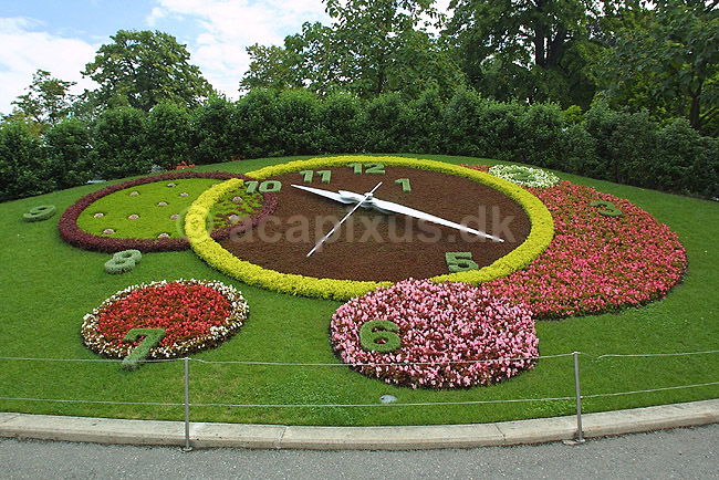 Blomsterur. Blomsteruret i Geneve; ; Geneve; Schweiz; Europa; ; ure, tiden, tidstagning, klokken, sekundviser, minutviser