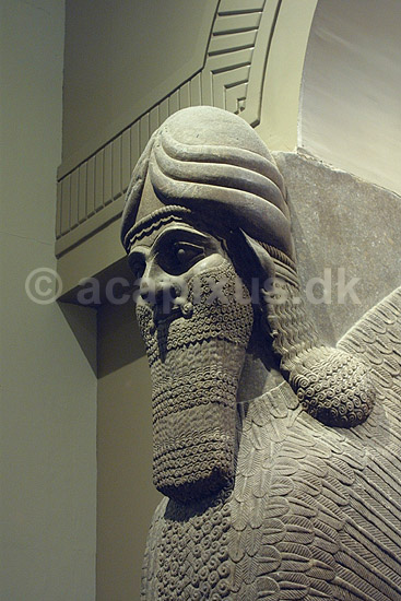 British Museum. Assyrisk (ca 865-860 f.kf.) skulptur (winged human-headed bull) fra Nimrud udstillet i The British Museum; ; The British Museum / London; England; ; sev�rdigheder; ark�ologi, Assyrien, Iraq, Irak