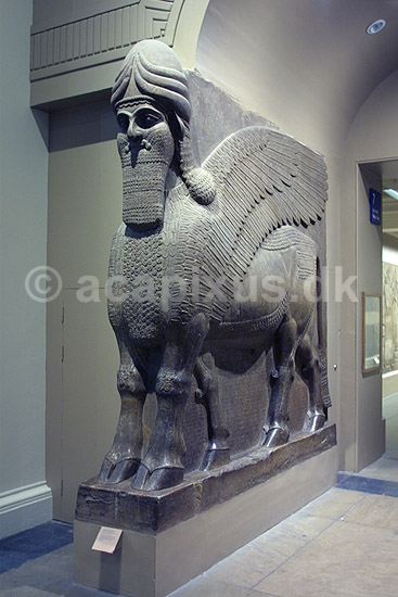 British Museum. Assyrisk (ca 865-860 f.kf.) skulptur (winged human-headed bull) fra Nimrud udstillet i The British Museum; ; The British Museum / London; England; ; sev�rdigheder; ark�ologi, Assyrien, Iraq, Irak
