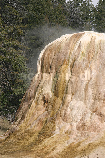 Mammoth Hot Springs. Mammoth Hot Springs i Yellowstone NP.; ; Yellowstone National Park / Wyoming; USA; Nord Amerika; ; Geothermisk, geotermisk varme